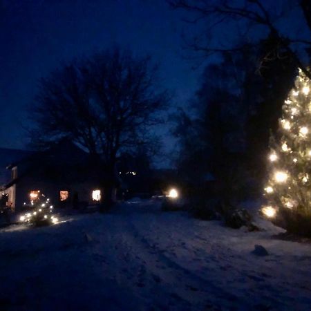 Pfaffensteghof Apartment Rickenbach  ภายนอก รูปภาพ