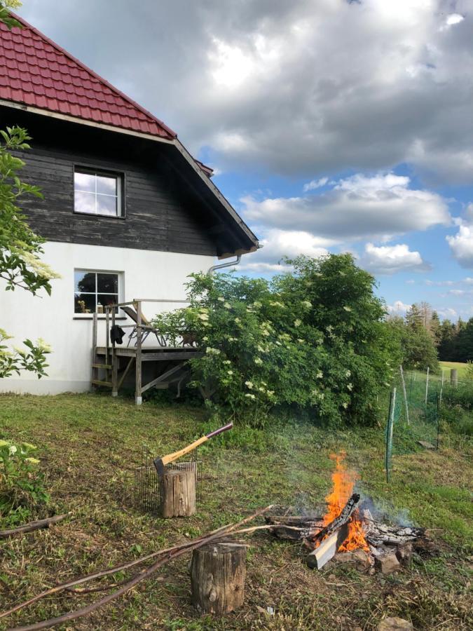 Pfaffensteghof Apartment Rickenbach  ภายนอก รูปภาพ