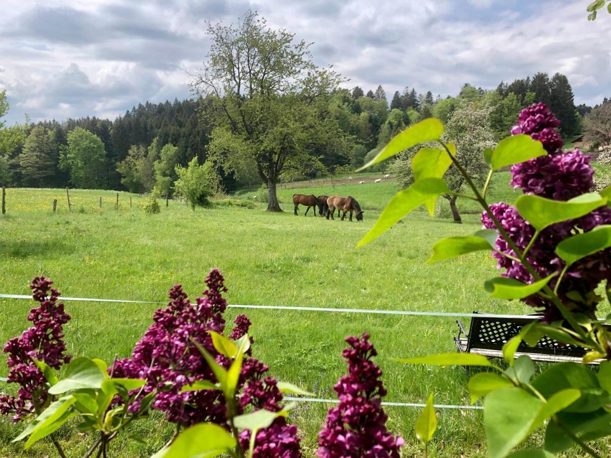 Pfaffensteghof Apartment Rickenbach  ภายนอก รูปภาพ