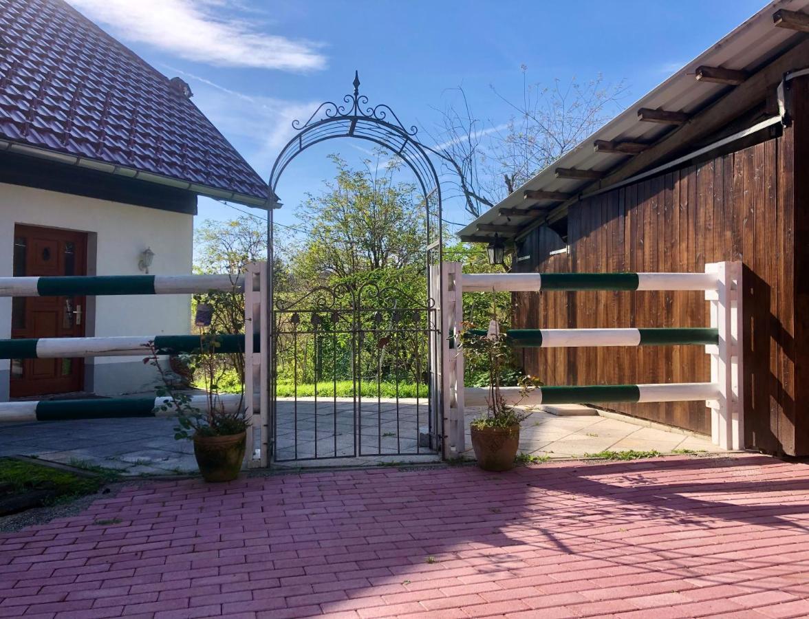 Pfaffensteghof Apartment Rickenbach  ภายนอก รูปภาพ